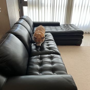 소파구입했어요~!