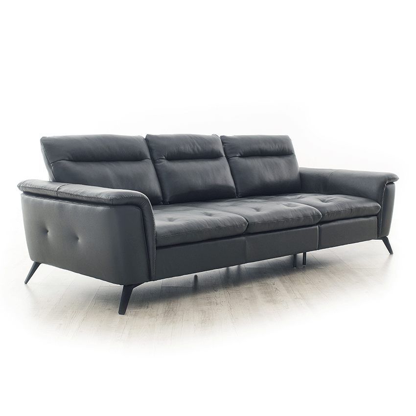 <b> 10365E  </b> Leather Sofa 