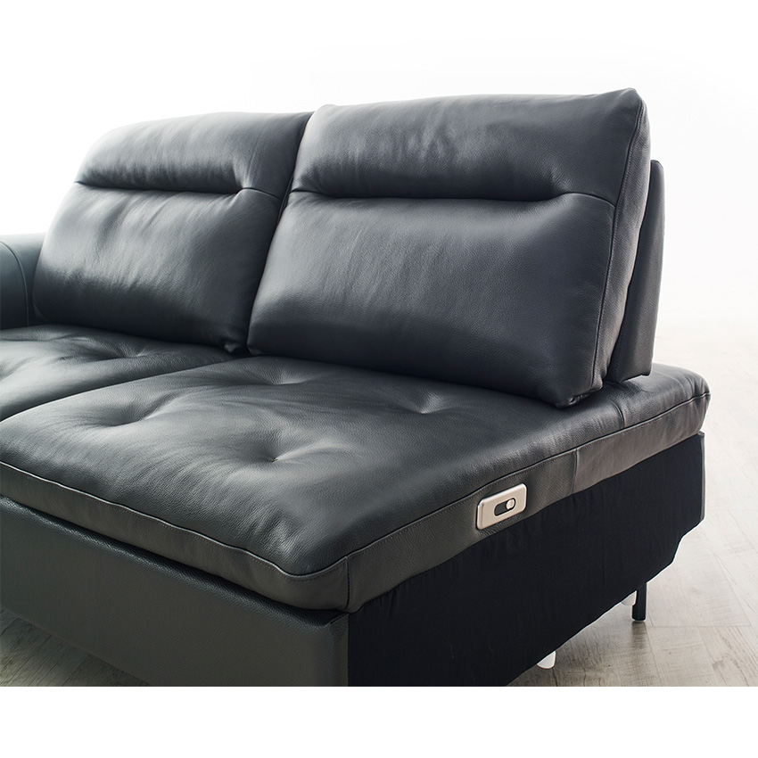 <b> 10365E  </b> Leather Sofa 